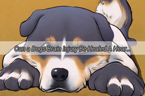 Can a Dogs Brain Injury Be Healed A Heartwarming Journey of Recovery